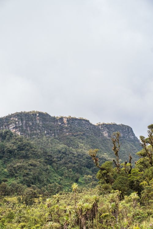 Free Lush green mountains and cloudy skies in Choachí, Cundinamarca, Colombia. Stock Photo