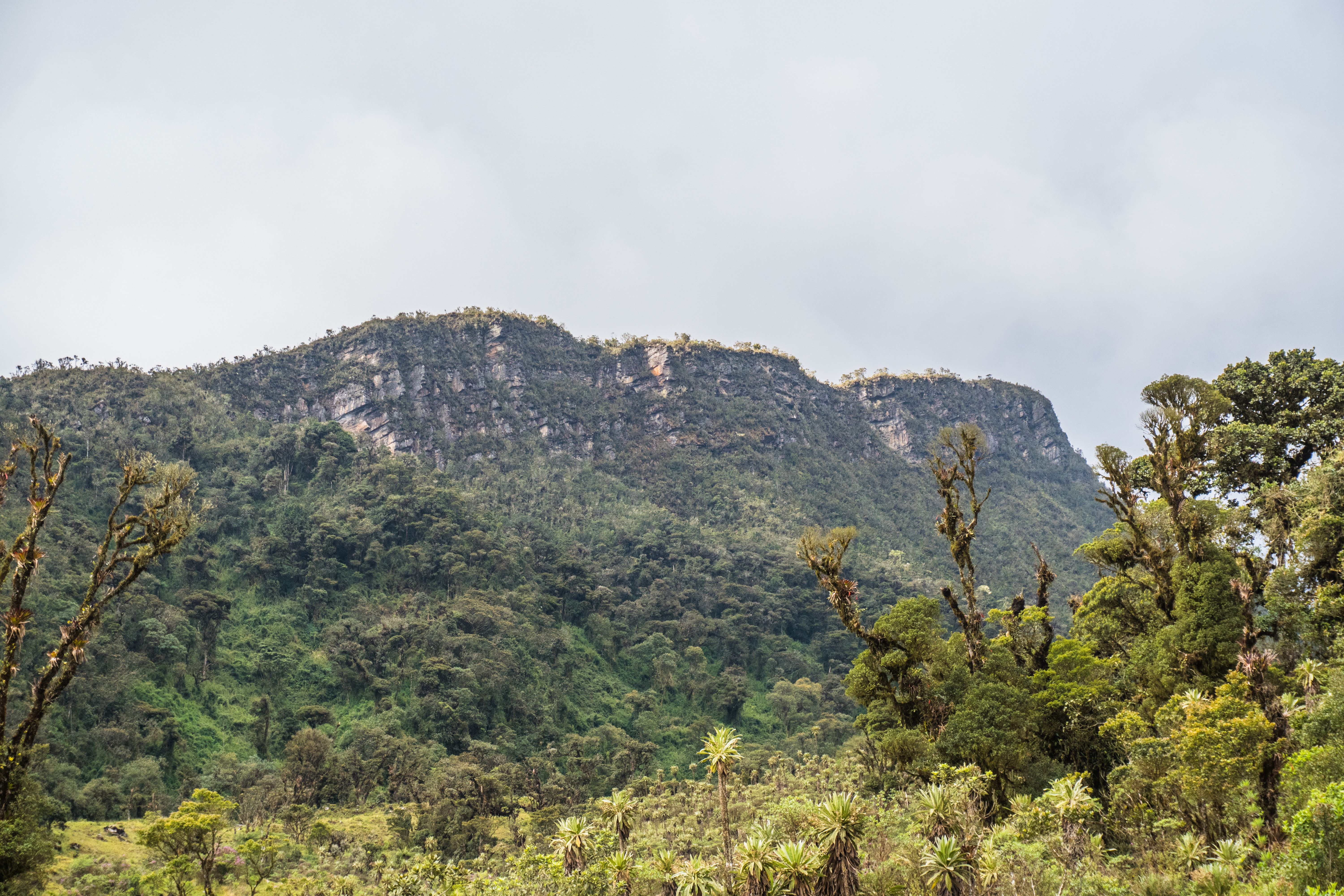 Montana, Equatorial Guinea