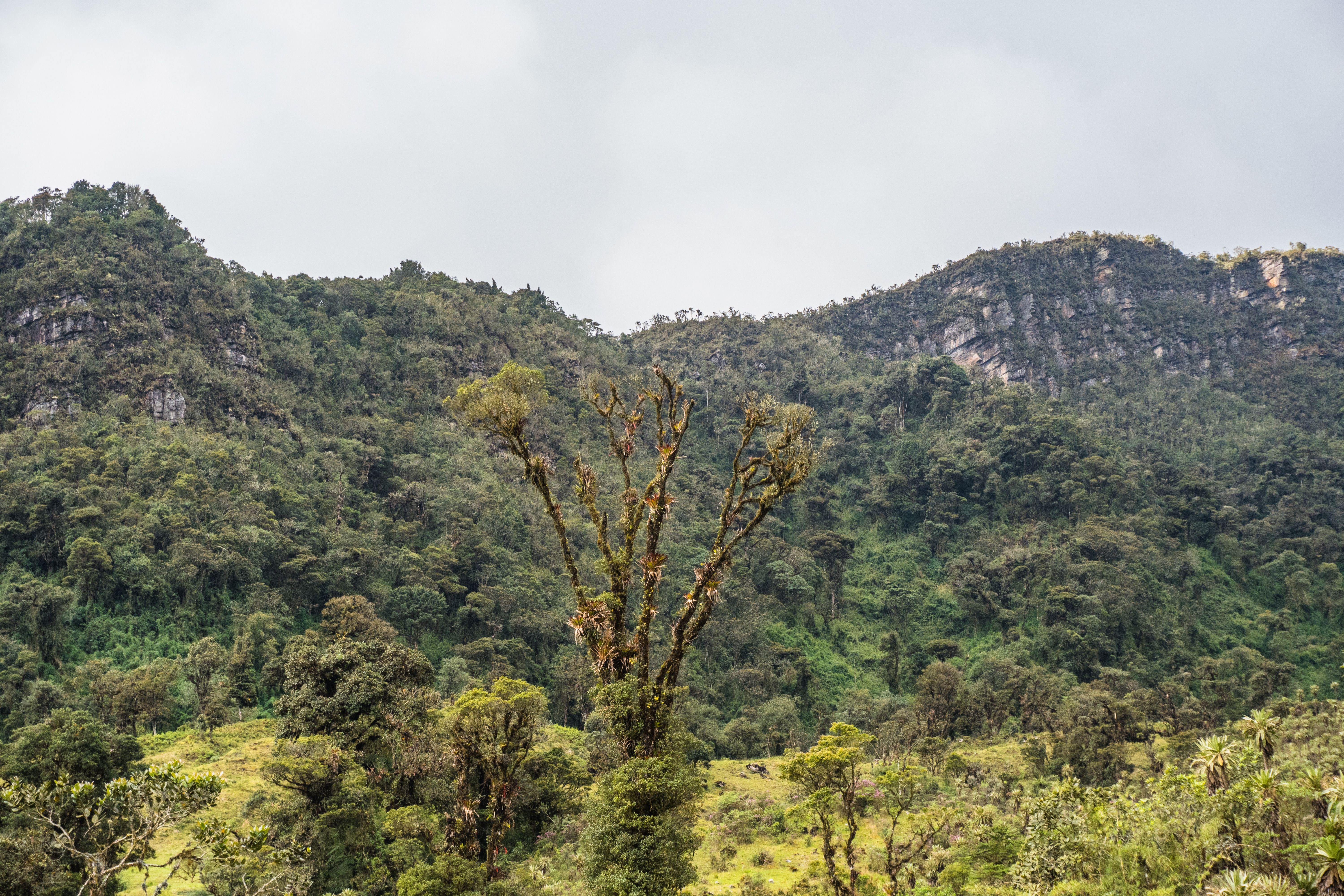waktu terbaik berkunjung ke wamena