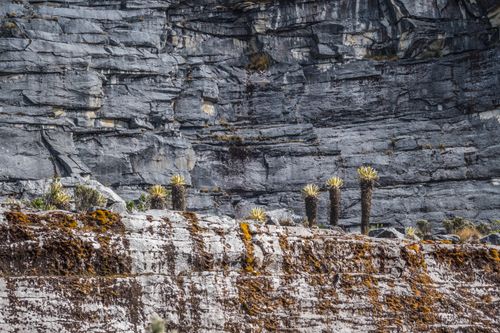 Free Explore the rugged rocky landscape of El Cocuy National Park, Boyacá, Colombia. Stock Photo