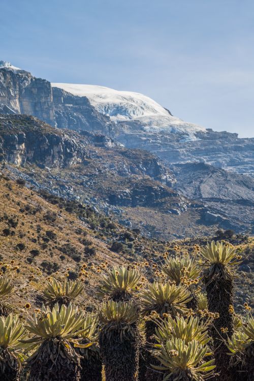 Free Breathtaking view of El Cocuy mountains with scenic plants and snowy peaks. Stock Photo
