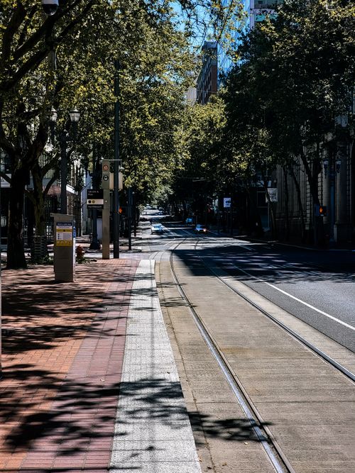 Free Sun-dappled quiet city street with tram tracks surrounded by trees and buildings. Stock Photo