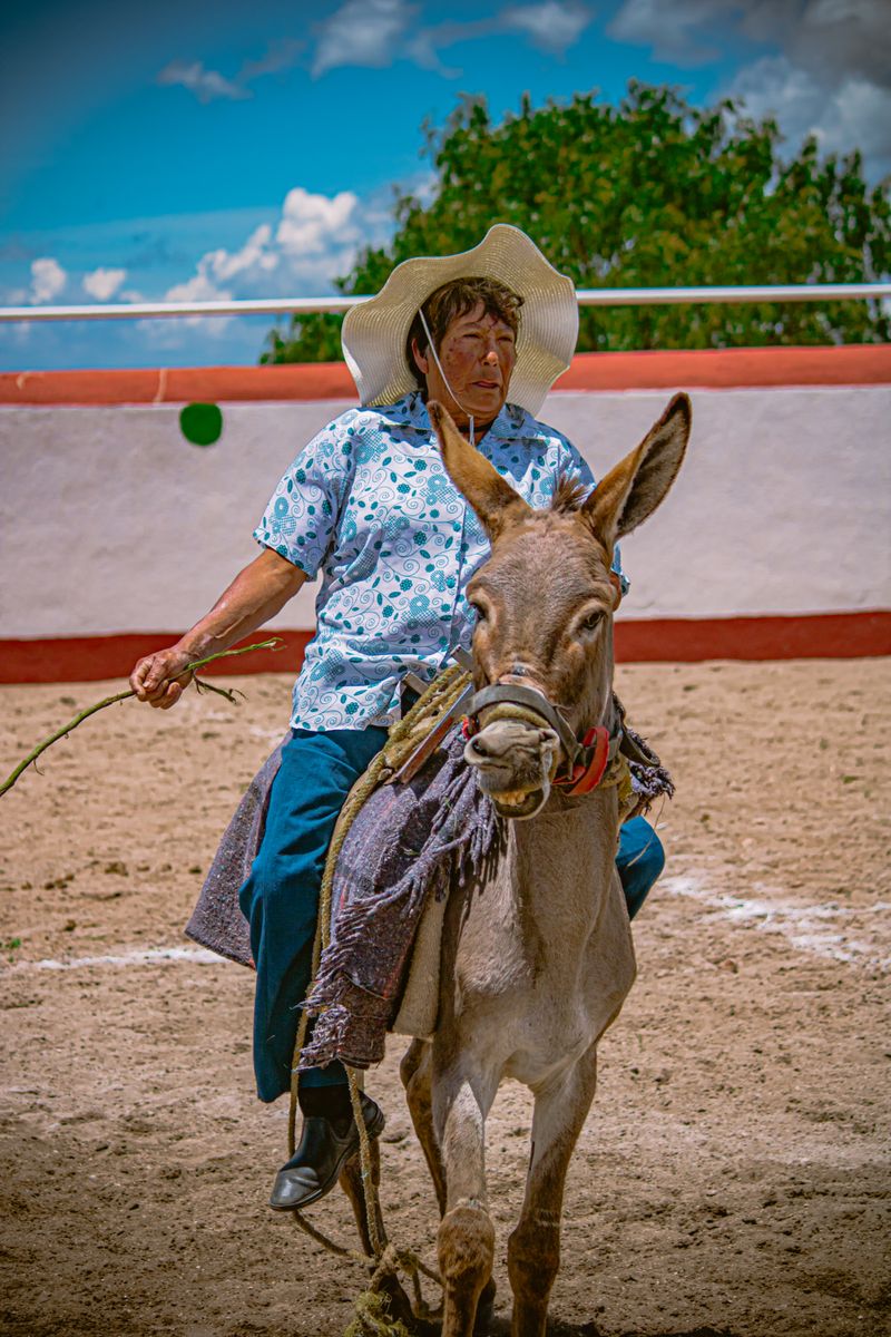 Cowgirl in jeans riding a brown horse at a rodeo event