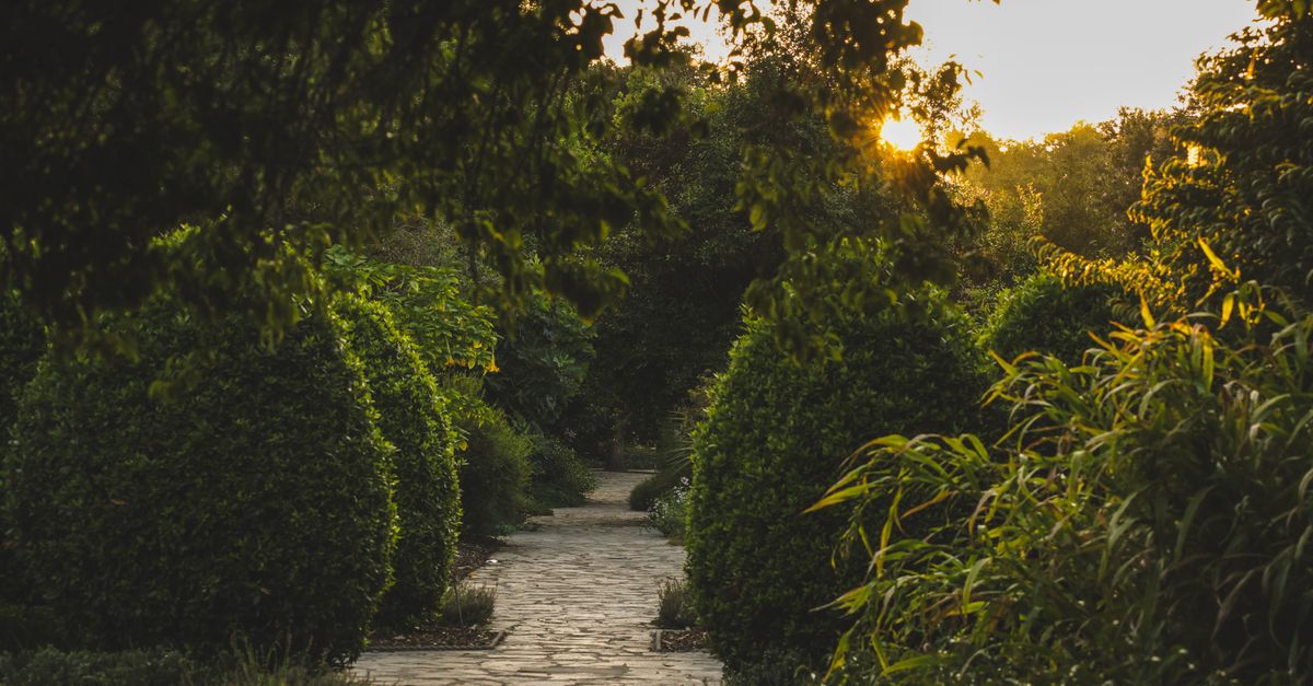Comment choisir l'éclairage parfait pour votre jardin