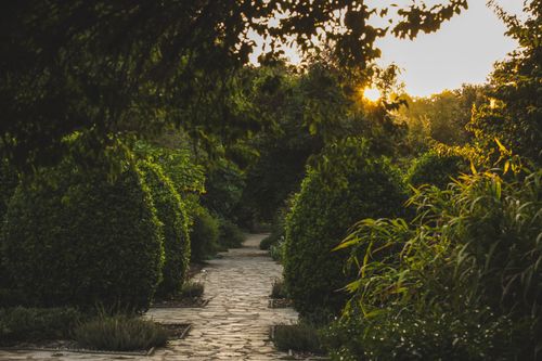 Free A serene stone pathway through a lush garden at sunset, perfect for nature enthusiasts. Stock Photo