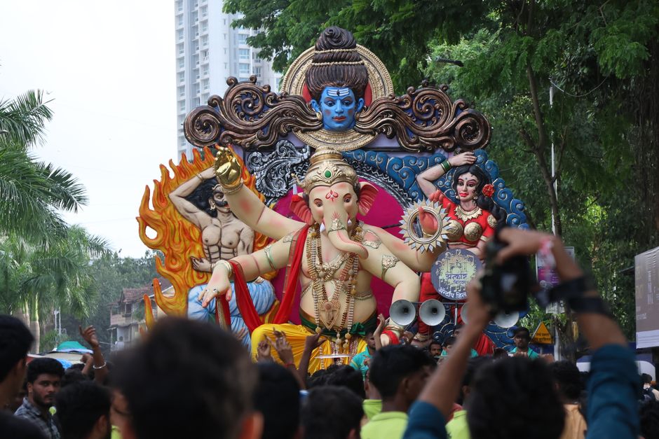 Hyderabad Ganesh Festival Wildlife Rescue