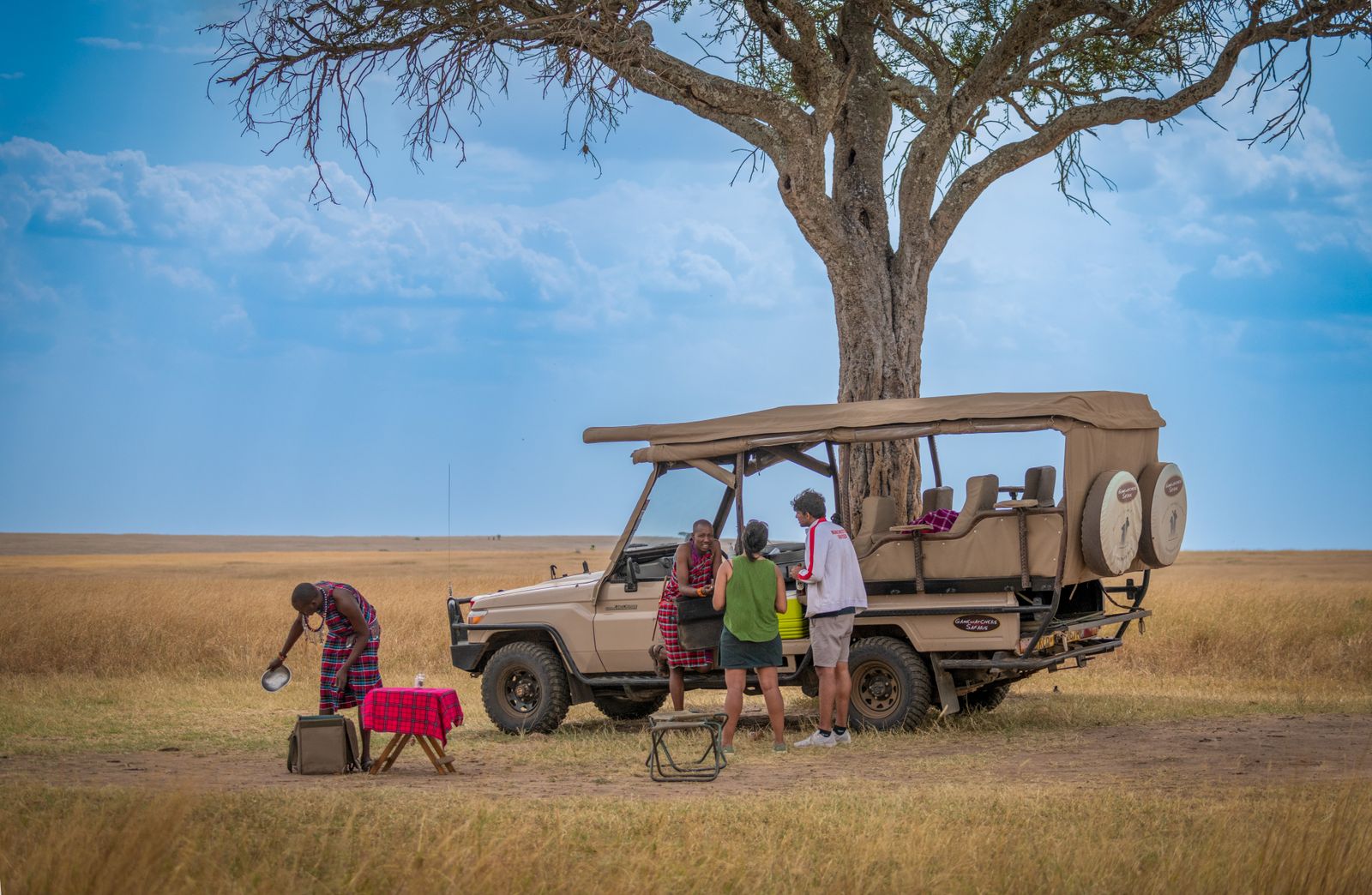 Mid Range safari vehicle