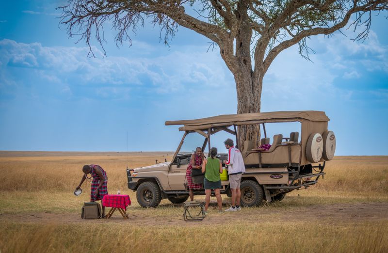 Sunrise over the African savanna, golden light across the plains
