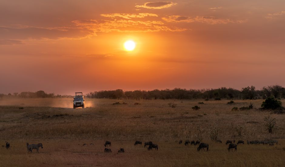 safari terbaik di afrika untuk wisatawan indonesia