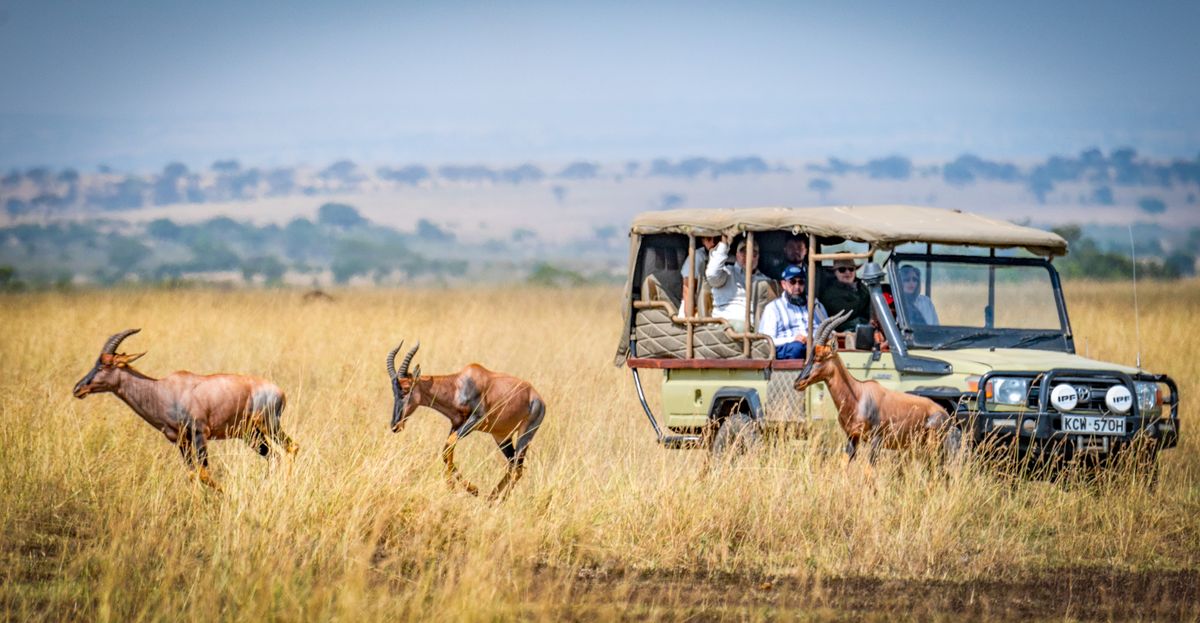 Tours & Travel — Private, tailored itineraries across Kenya and beyond.