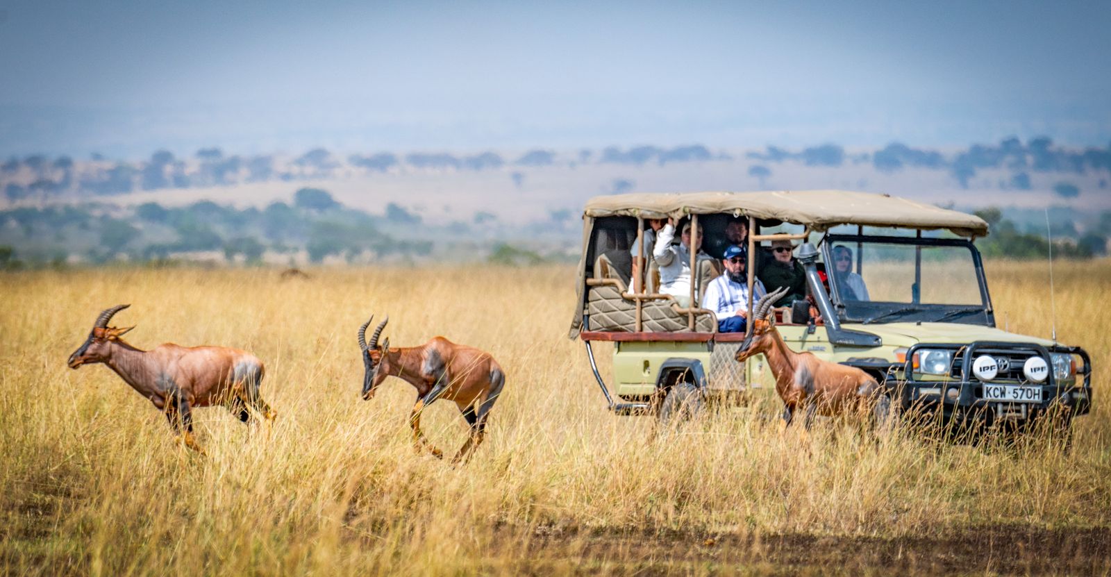 Luxury safari group viewing wildlife in Kenya