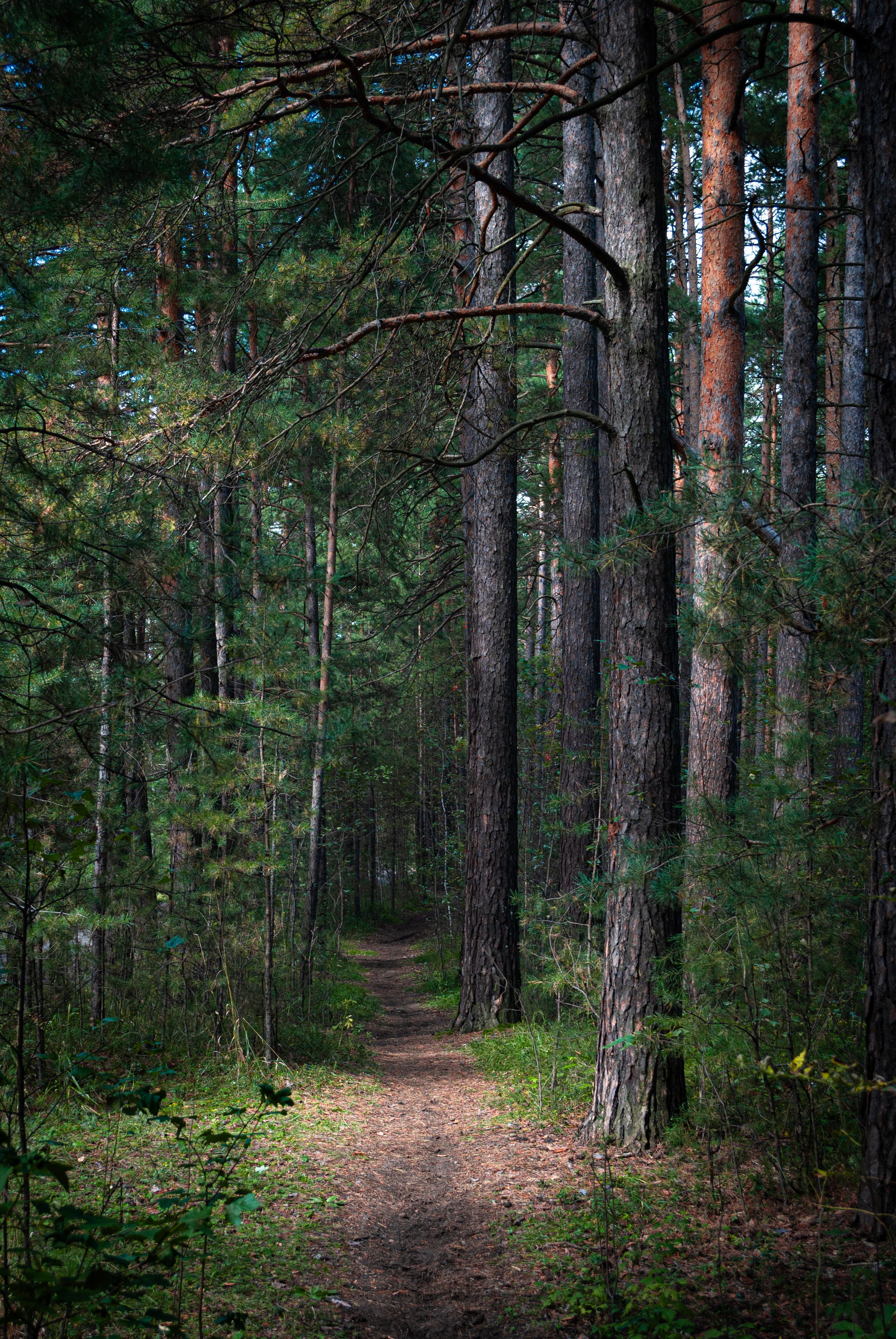 Hidden path · Free Stock Photo
