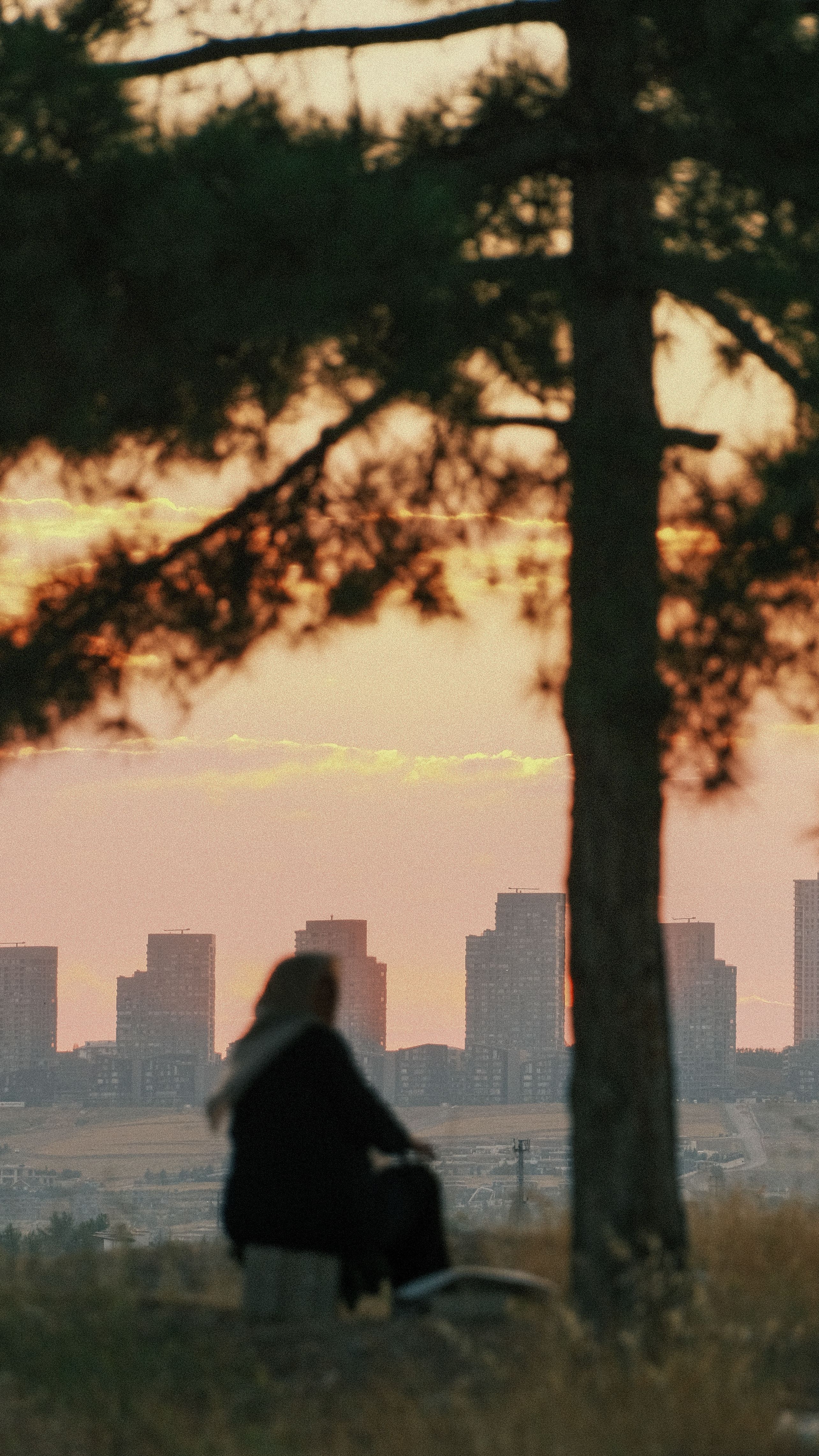 A person sitting on a bench looking at the city · Free Stock Photo