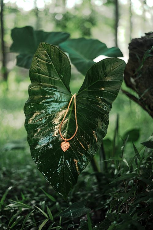 Free A shimmering gold necklace elegantly drapes over a lush green leaf in a tropical setting. Stock Photo