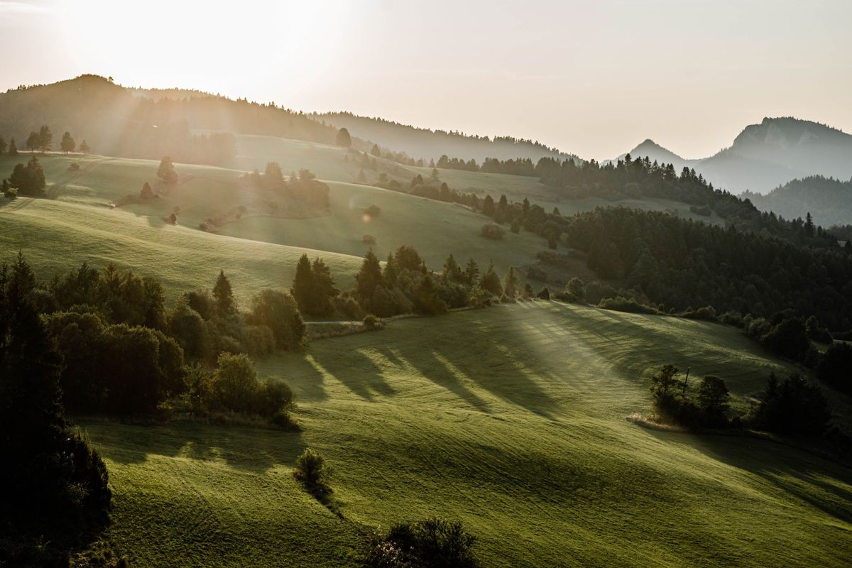Green Grass Field During Sunset · Free Stock Photo