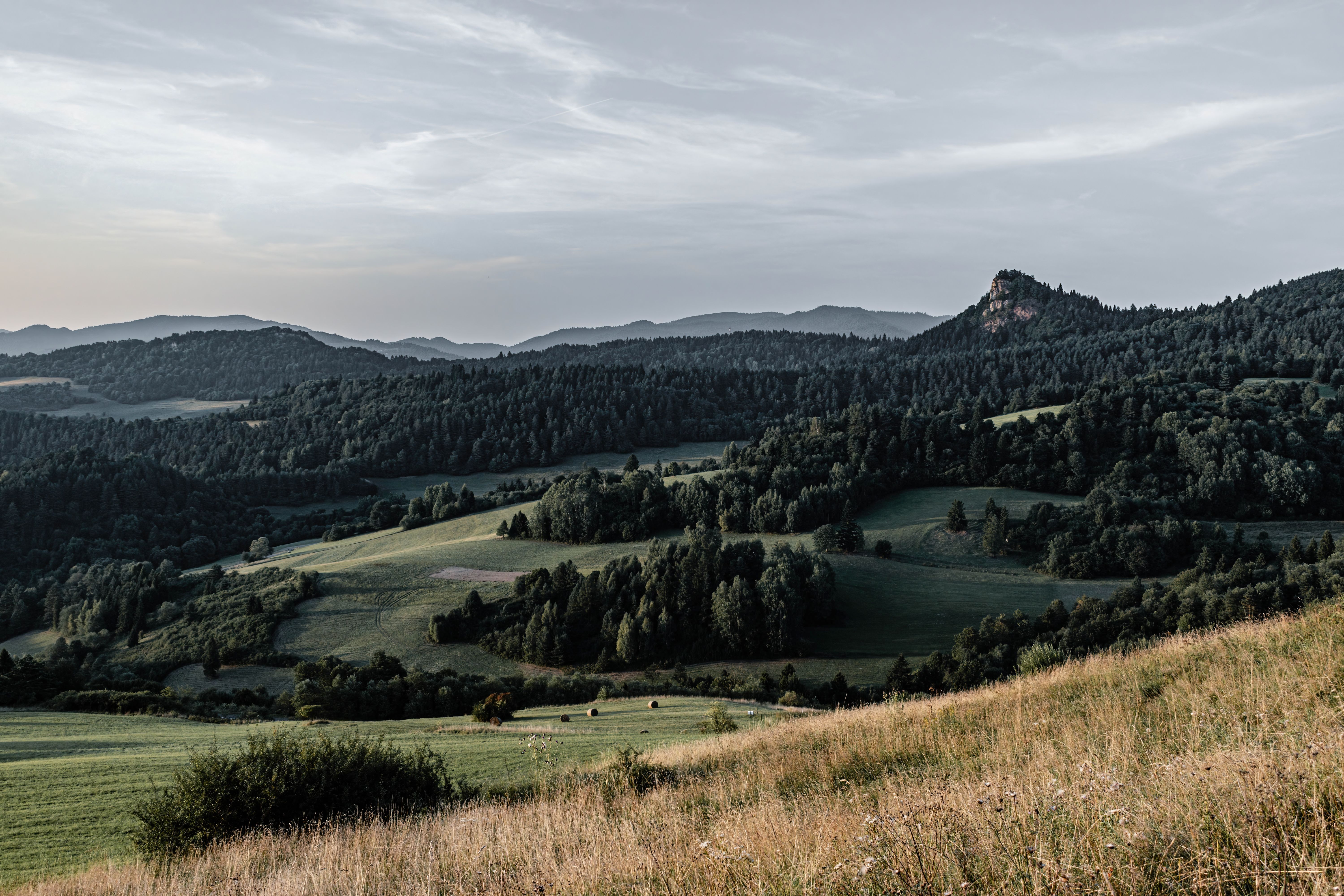 Serene view of rolling hills and forests at dusk, set against a distant mountain range.