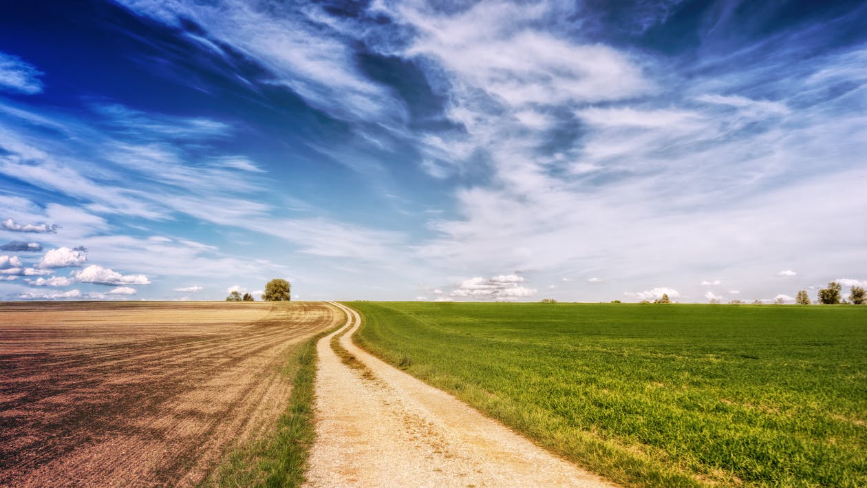 Foto Del Campo In Erba Durante Il Giorno