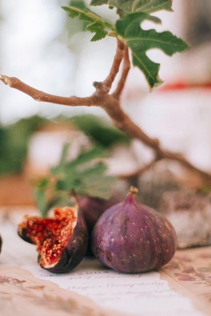 Artistic still life of ripe figs and a branch, capturing natural beauty with warm tones.