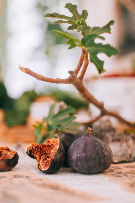 Close-up of ripe figs with a fig tree branch in a warm, rustic setting, highlighting natural textures.