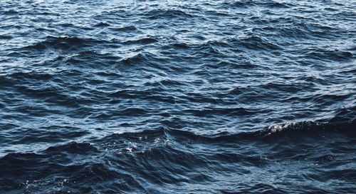 Free A serene view of blue ocean waves creating rhythmic patterns. Stock Photo