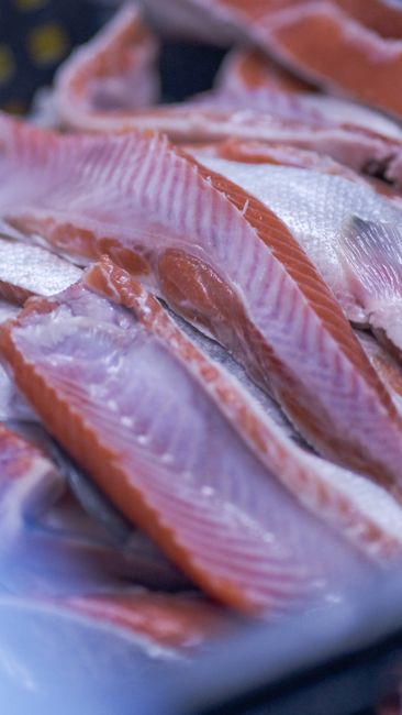 Raw salmon fillets with skin on a white plate`