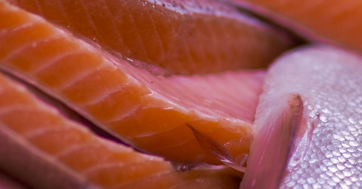 Omega 3: un ácido graso esencial para el bienestar general Omega 3: un ácido graso esencial para el bienestar general