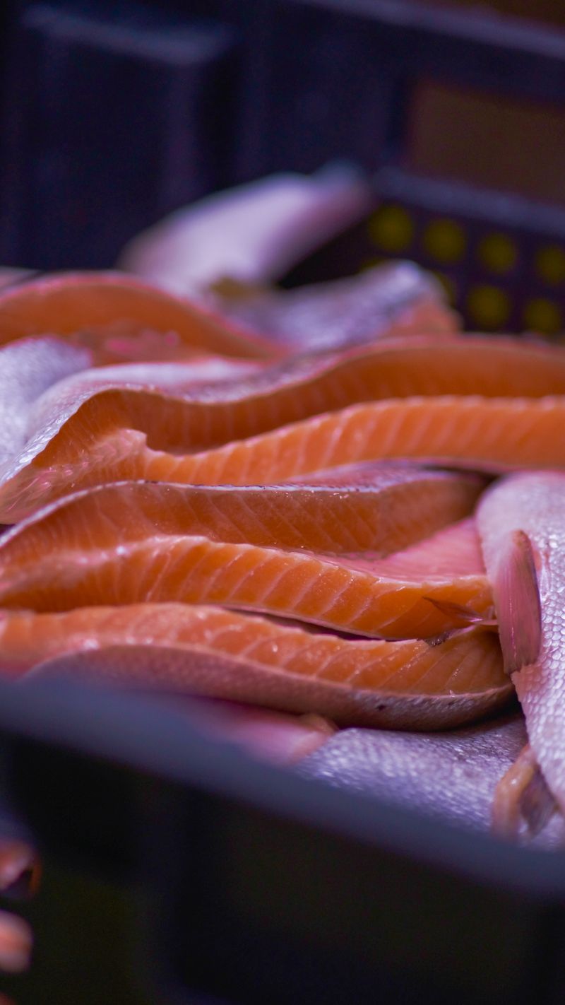 Rainbow Trout – Frozen Fillets
