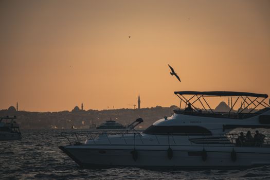 Free stock photo of canon 250d, hd wallpaperwallpaper, instagram