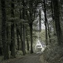 一条宁静的森林小路通向一座僻静的乡村房屋，四周环绕着高大的树木