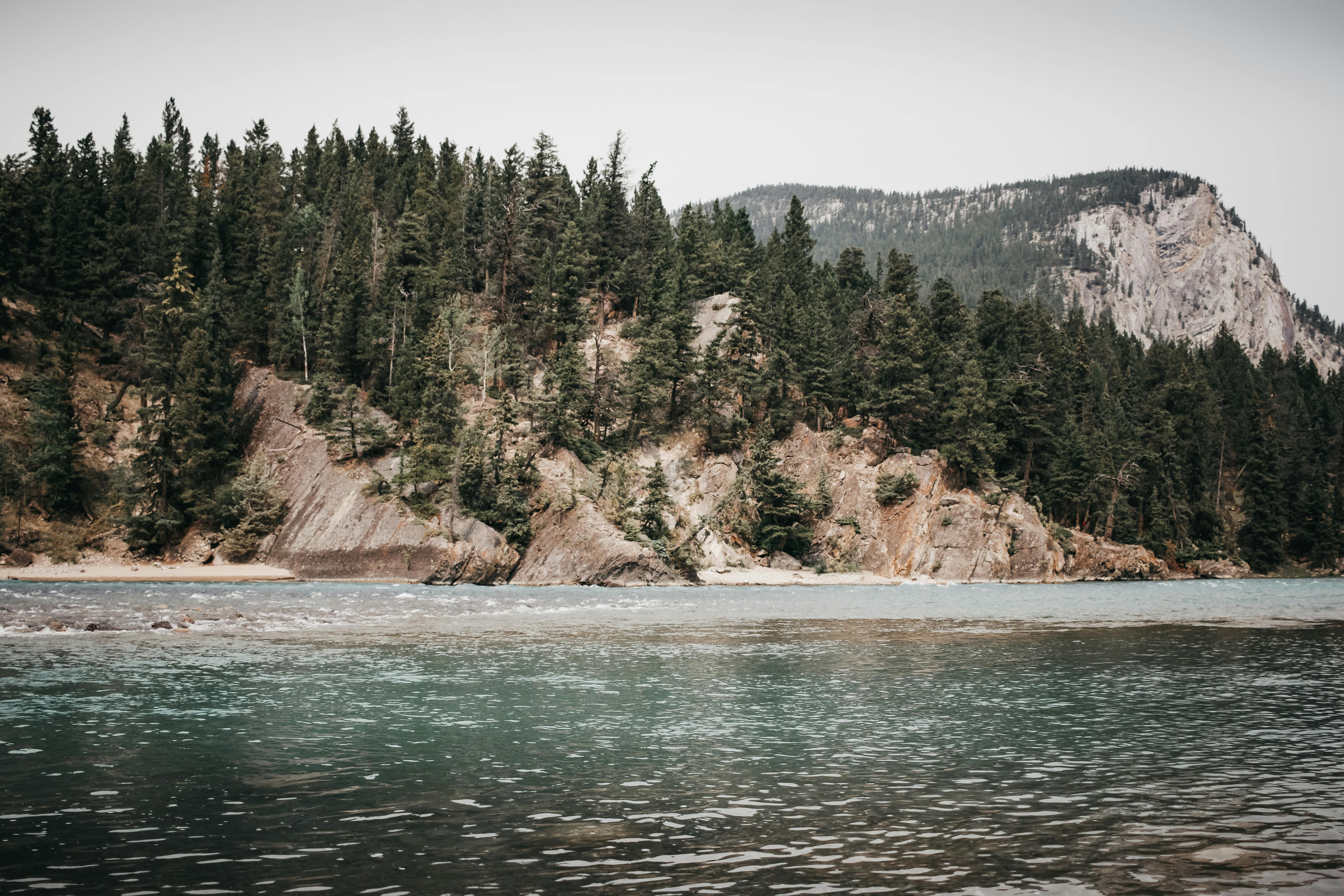 班夫国家公园的湖边宁静，松林郁郁葱葱，岩石山脉的景色静谧