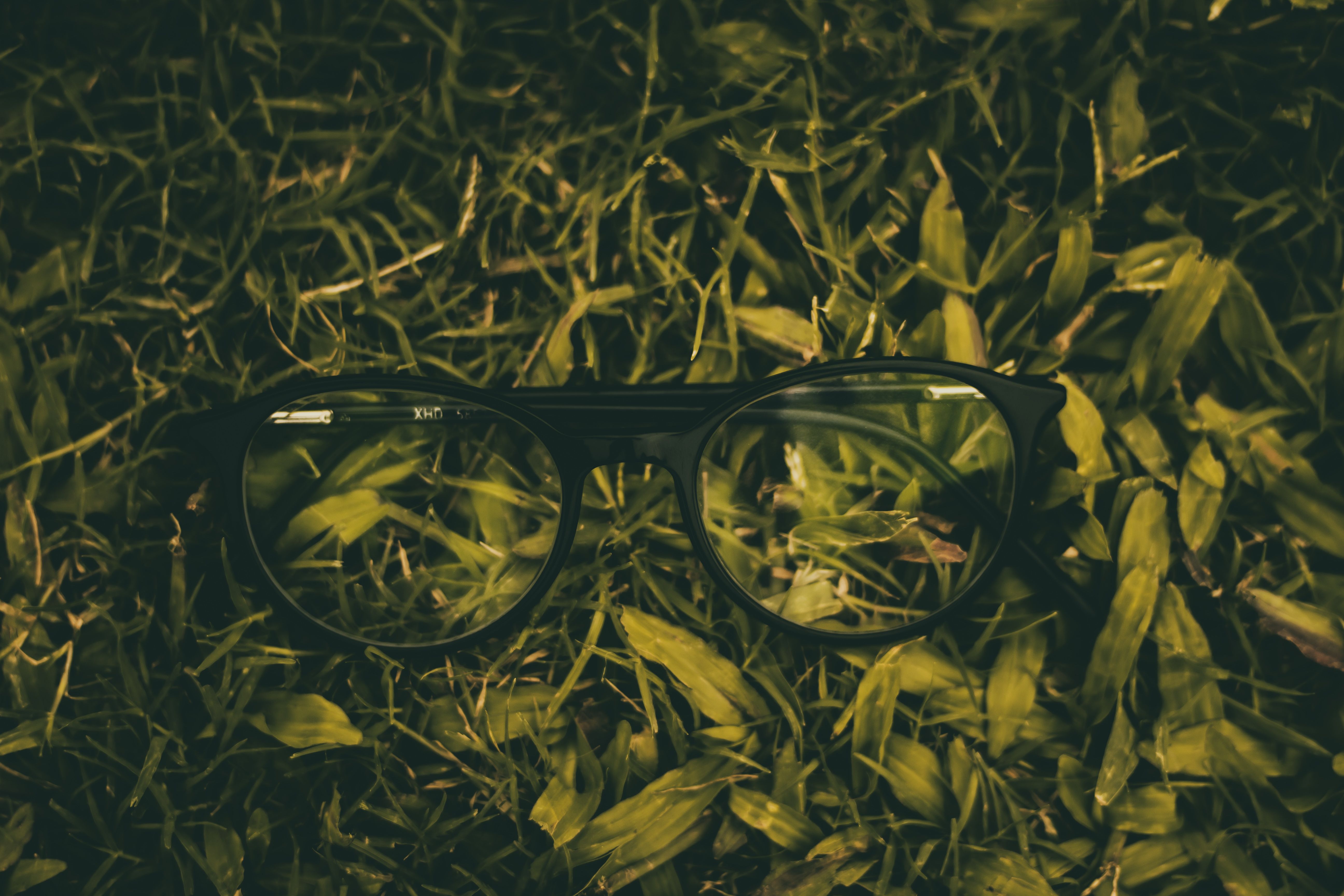 general education lenses — Photo by Rahul Pandit on Pexels