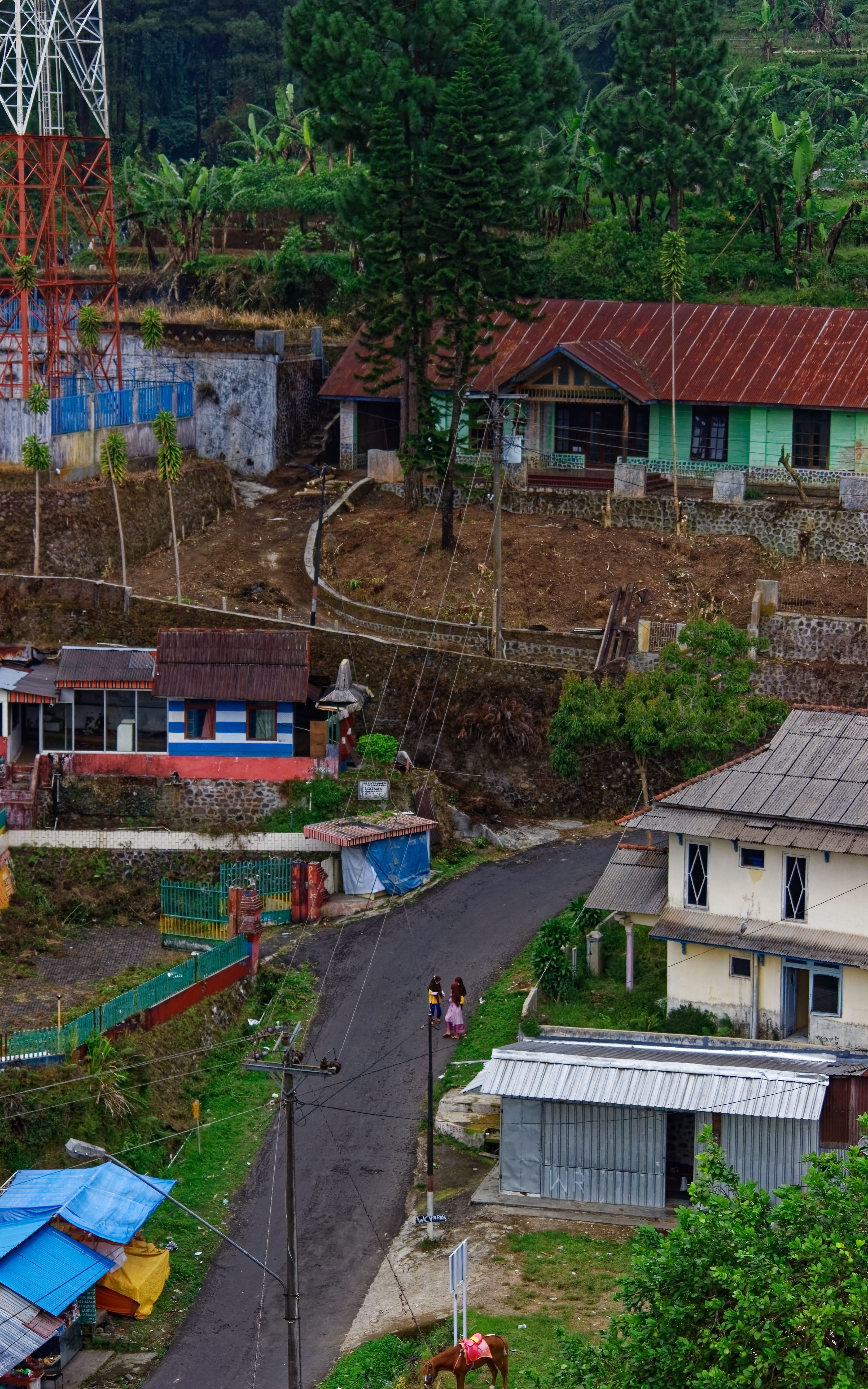 Charming village road in Tegal, Central Java, with traditional houses and lush greenery. - Fotografer Sidoarjo