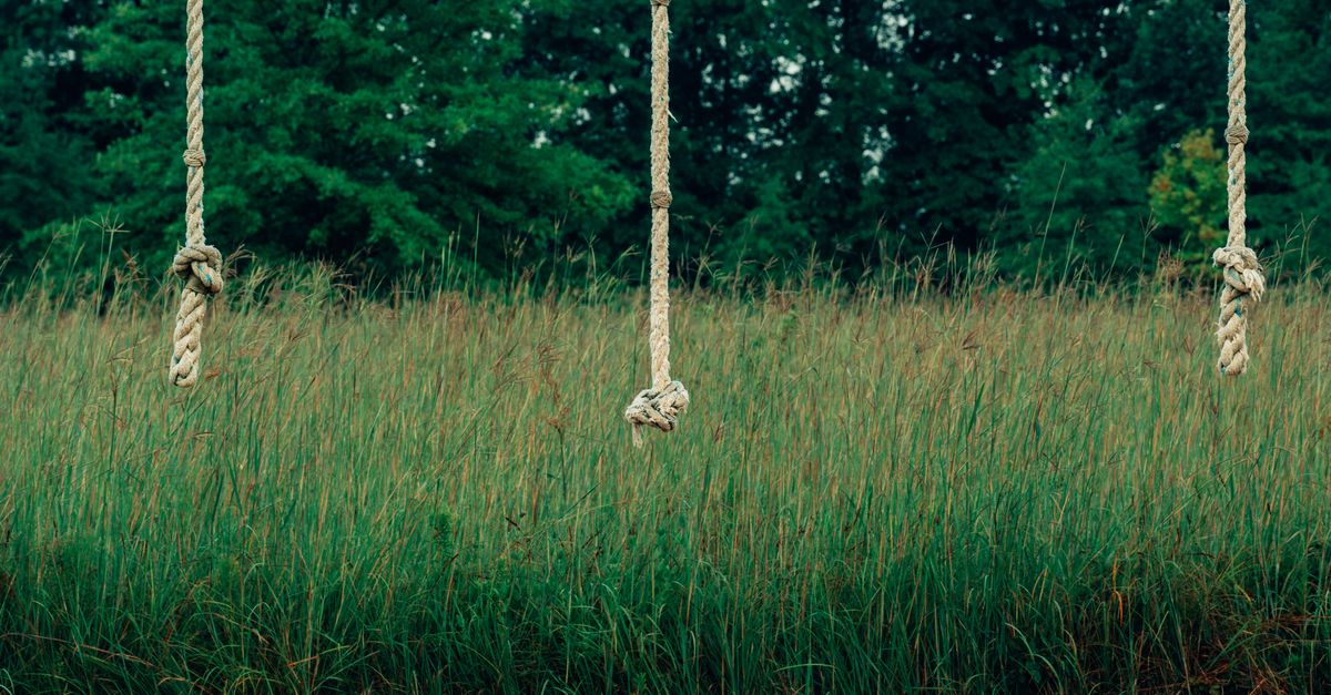 Victorian Hanging Rope A swing set with two ropes hanging from it · Free Stock Photo