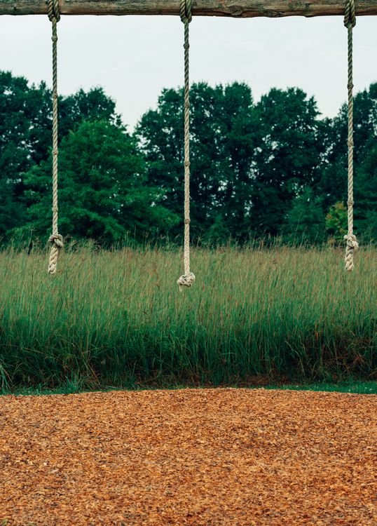 Rural Ropes A swing set with two ropes hanging from it ยท Free Stock Photo