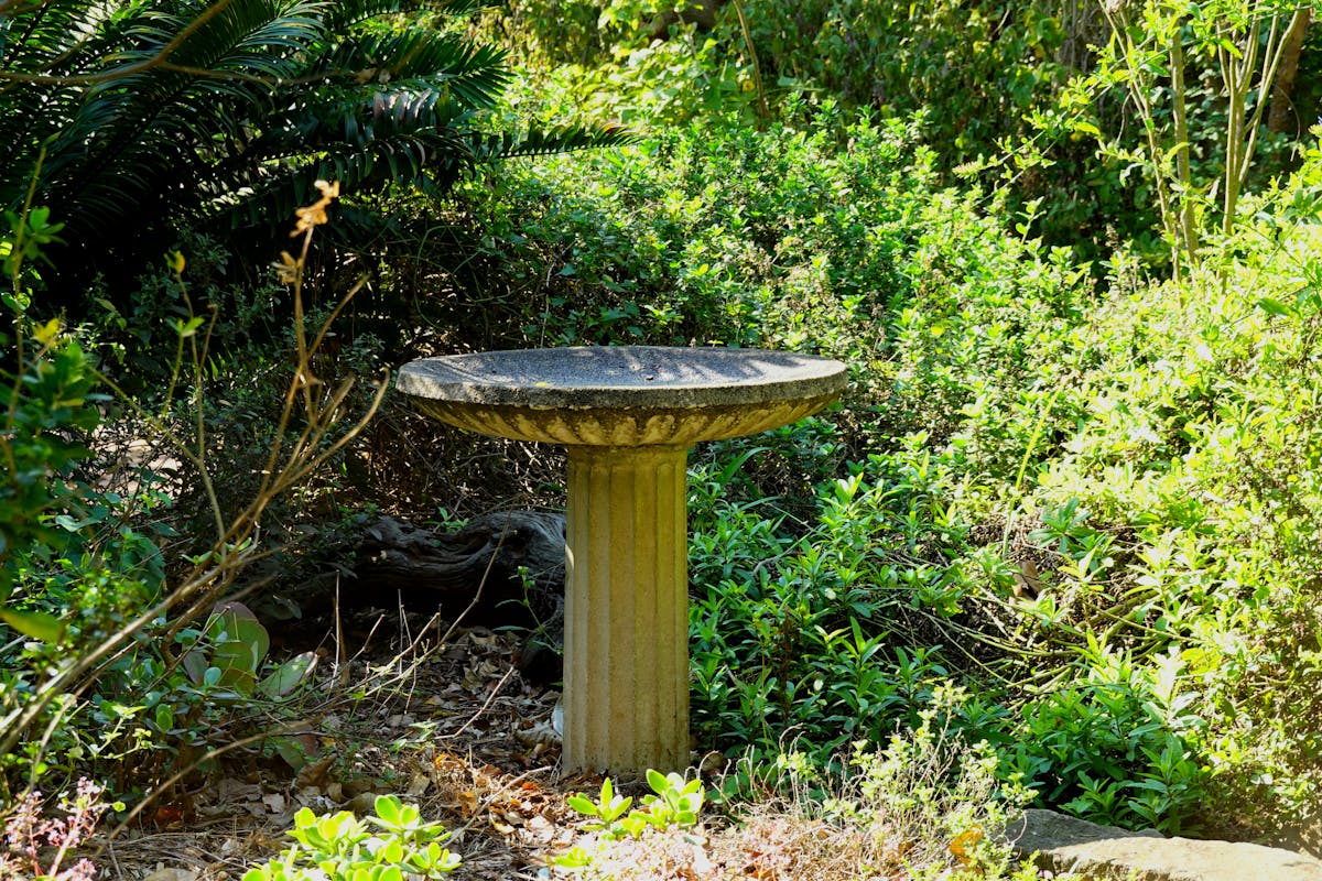 Bright modern farmhouse kitchen with light wood island and white cabinets