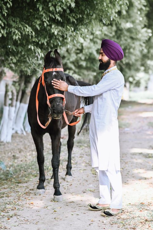 Free A man in traditional attire interacts with a horse outdoors in Amritsar, India. Stock Photo