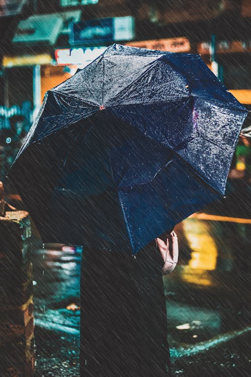 Foto Der Person, Die Einen Regenschirm Hält