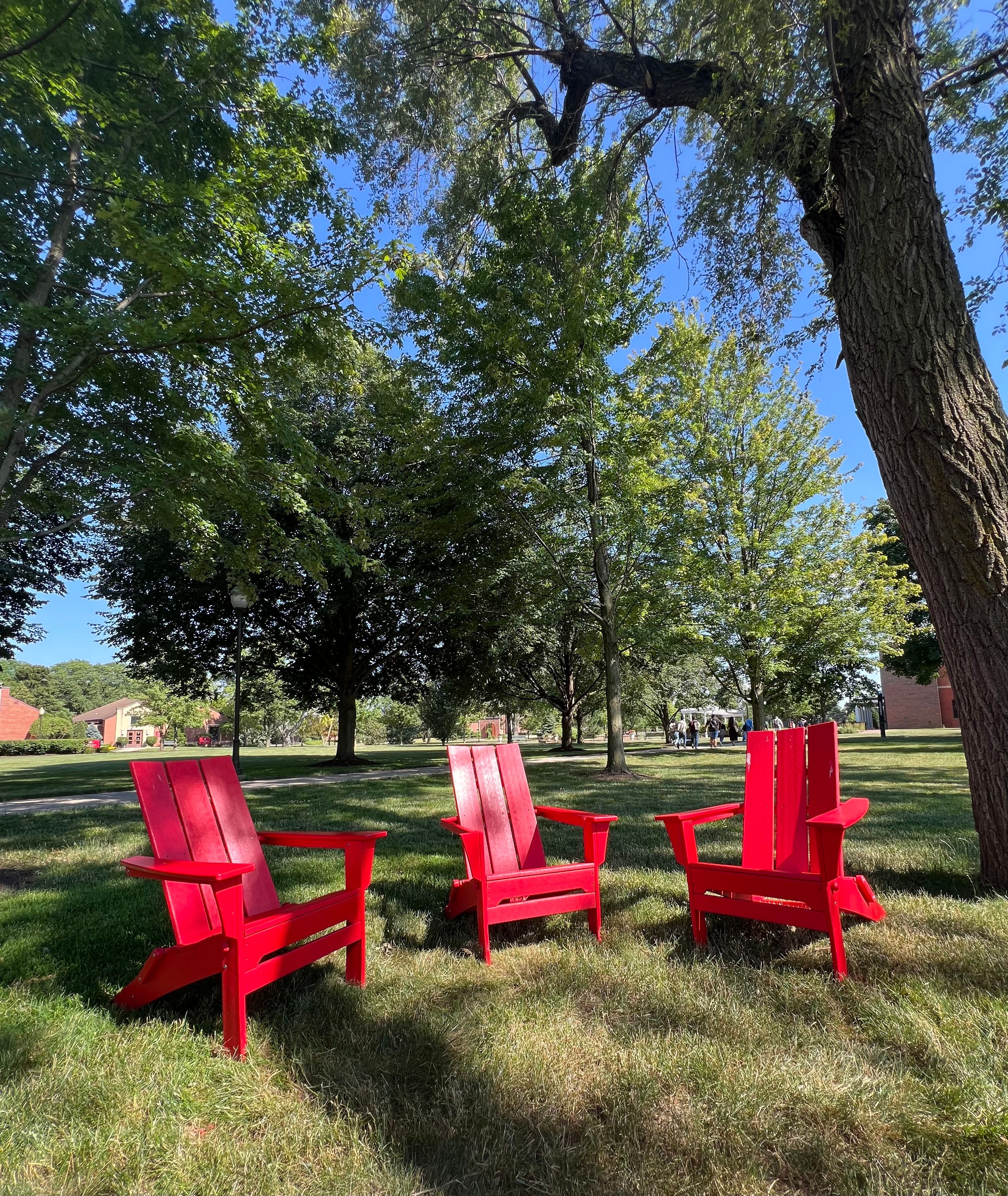 Adirondack chair