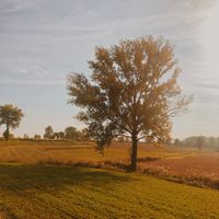 Copper Field cover art — photo by Andra Moraru on Pexels