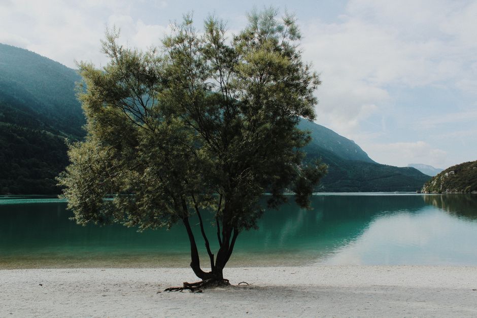 Scenic image of Lake Molveno with a solitary tree on a tranquil shore in Trentino-Alto Adige, Italy.