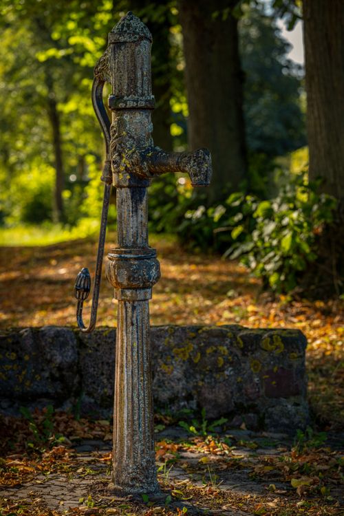 Free A rustic cast iron water pump set in a lush, sunlit garden with autumn foliage. Stock Photo