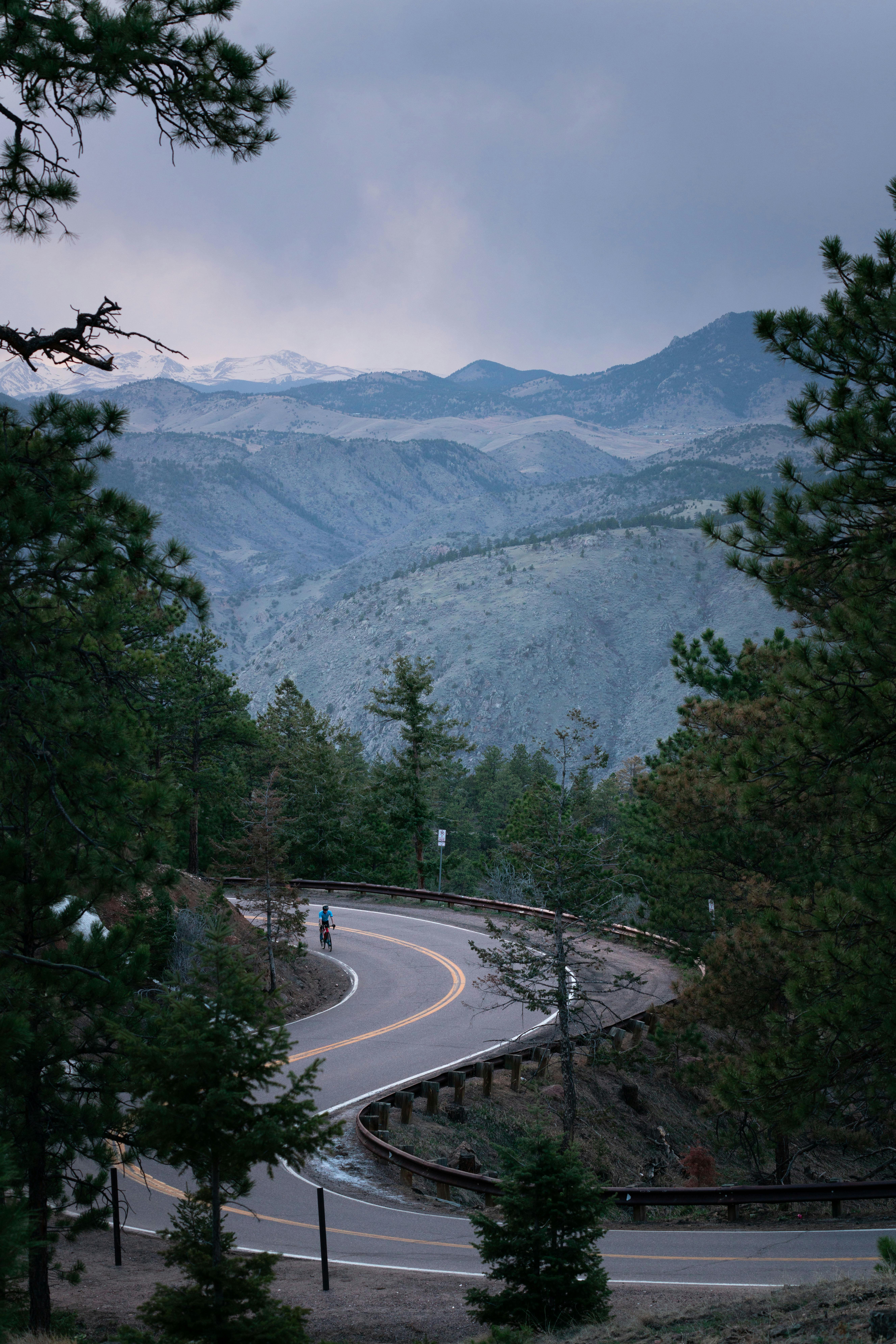 Discover Seamless Wedding Transportation in Woodland Park, Colorado