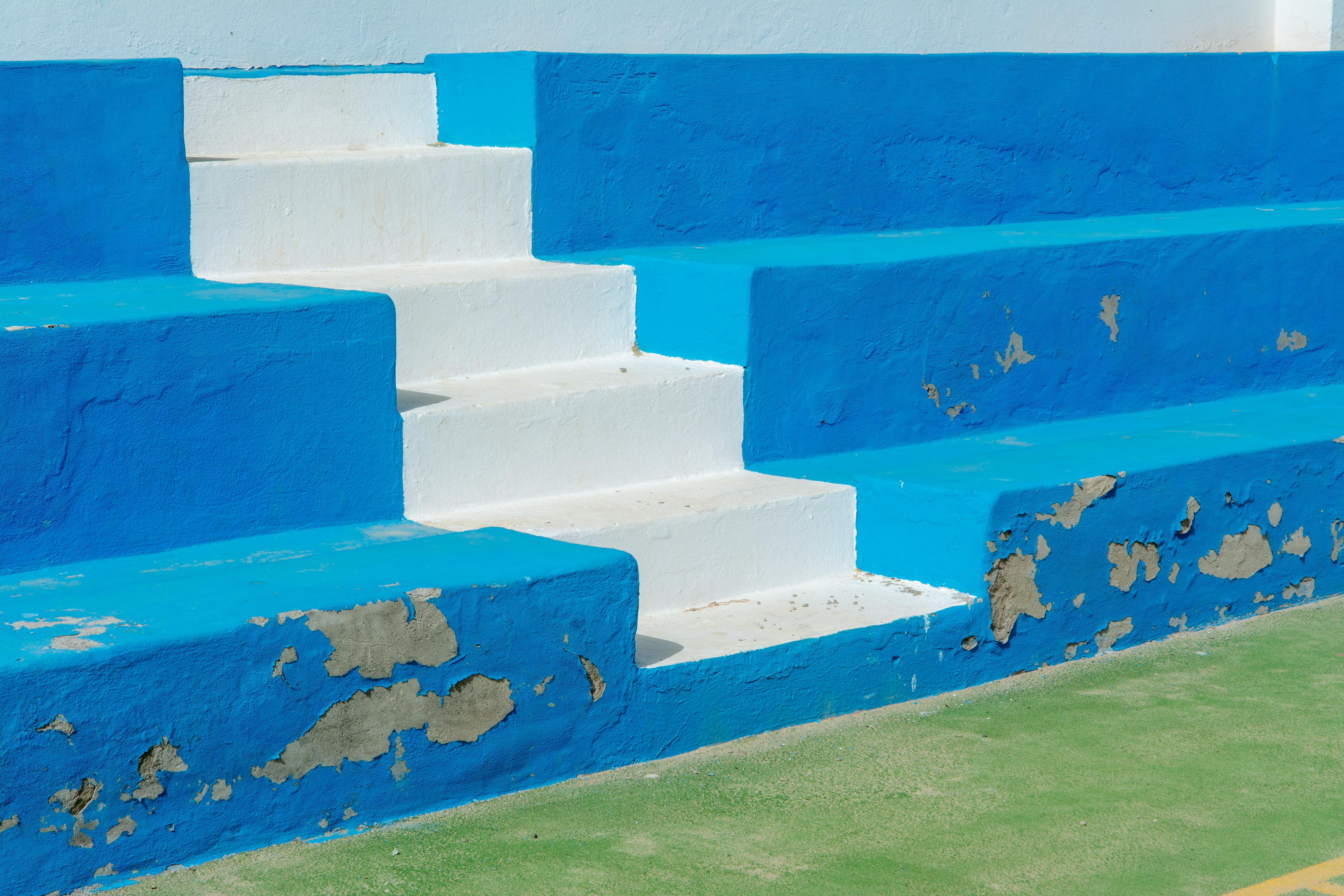 Photo by Jan van der Wolf on Pexels