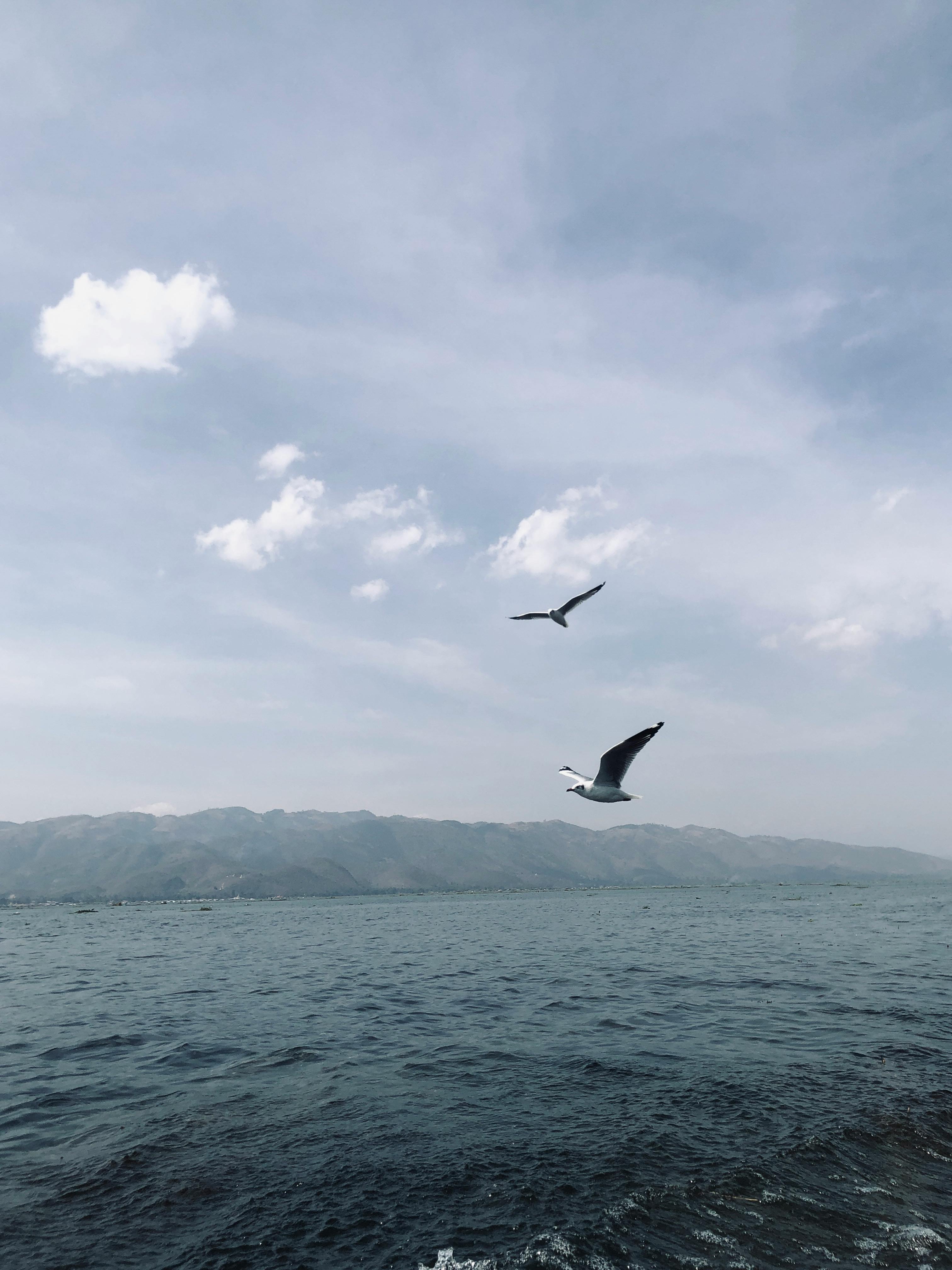 Gratis Immagine gratuita di acqua, acqua aperta, acque calme Foto a disposizione