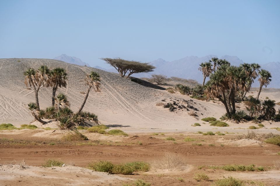 Tabuk