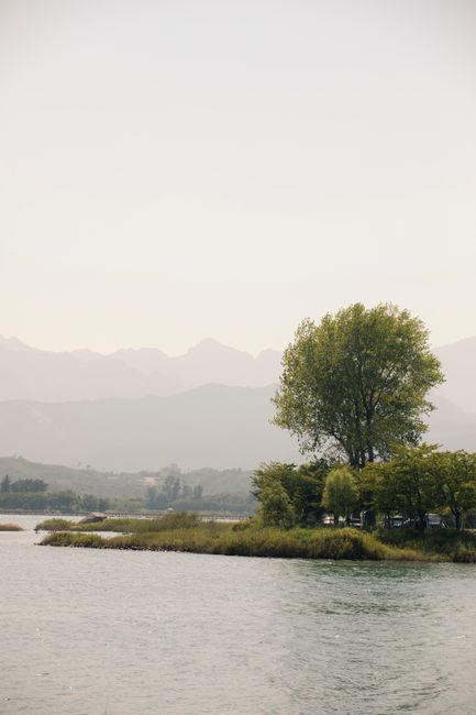 Serene landscape of a tree by a tranquil lake with misty mountains in the background