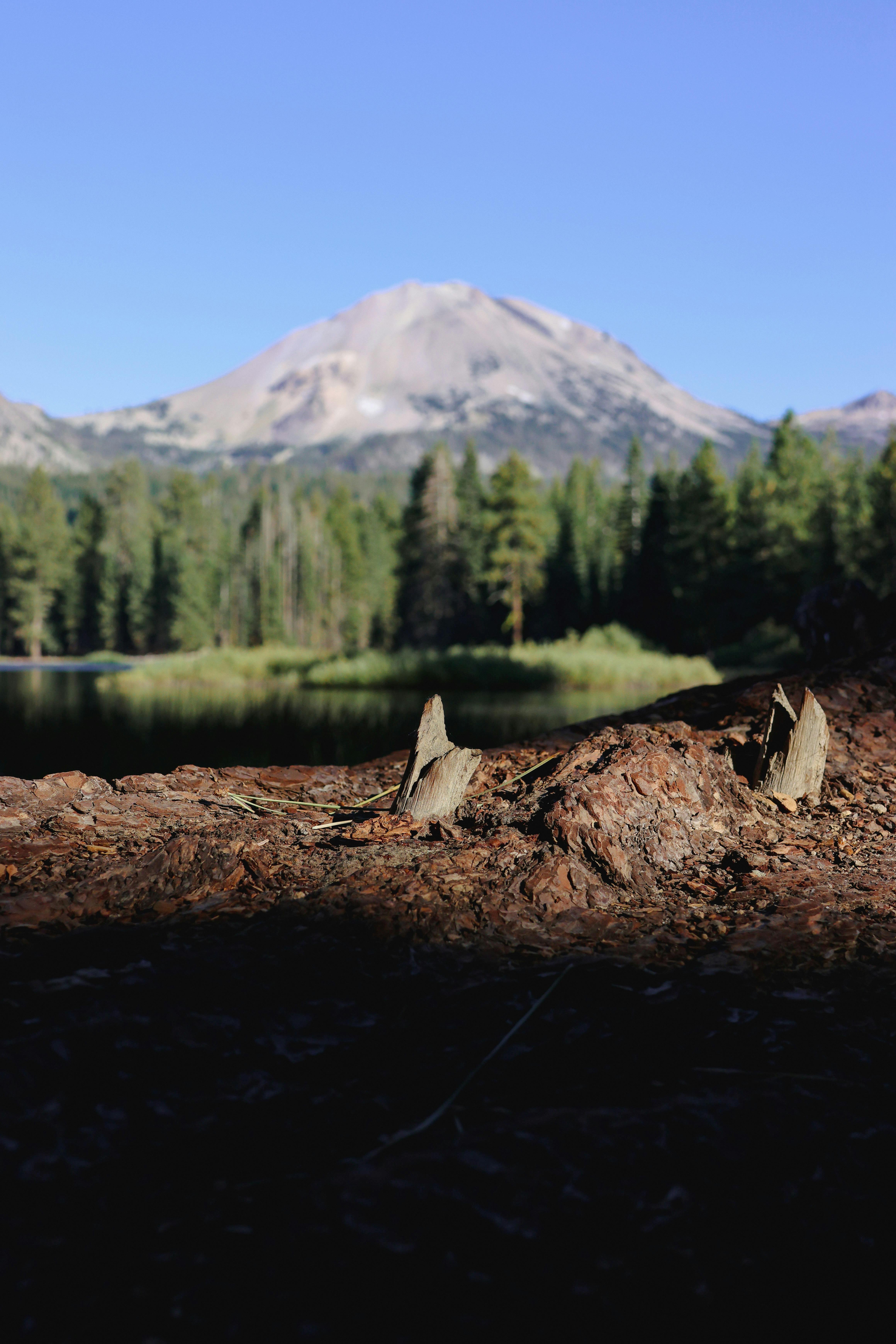 Scenery of California - Image 2