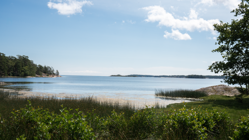 Free Peaceful summer landscape of Trosa archipelago with water, trees, and grassy shores. Stock Photo