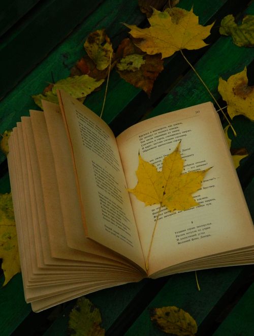Free An open book with a yellow maple leaf placed on it, set against a green bench background, evokes a fall mood. Stock Photo