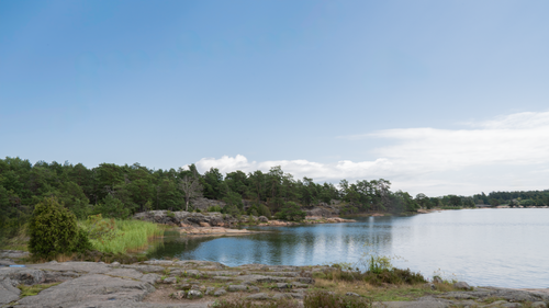 Free Peaceful lakeside view in Trosa, Sweden, showcasing a tranquil natural landscape with trees and water. Stock Photo